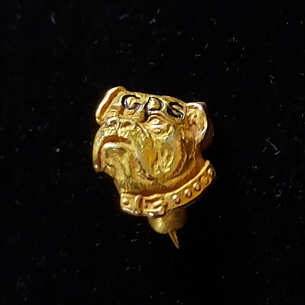 Rolled Gold Bulldog Lapel Pin